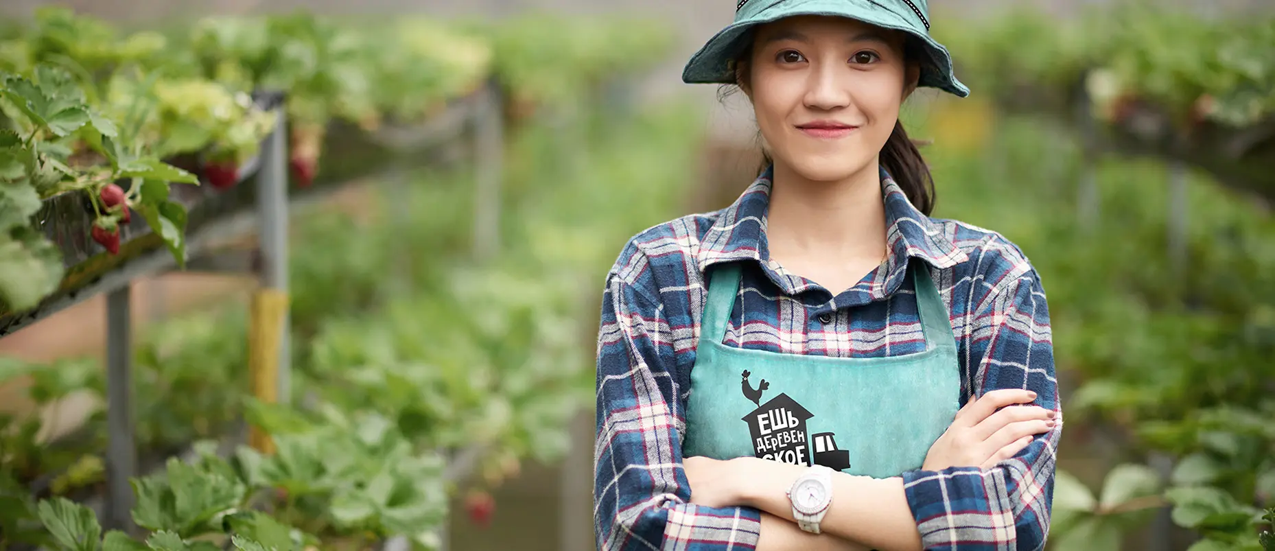 ребрендинг службы доставки продуктов «Ешь деревенское»